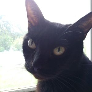 Meet your Posher, Kendra